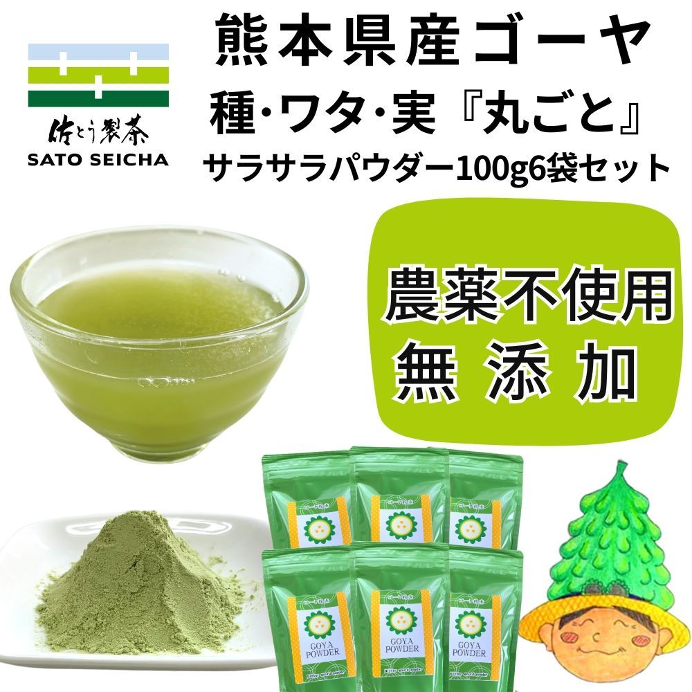 無添加・無着色 ゴーヤ丸ごと粉末100g6袋セット(農薬不使用)13200円相当