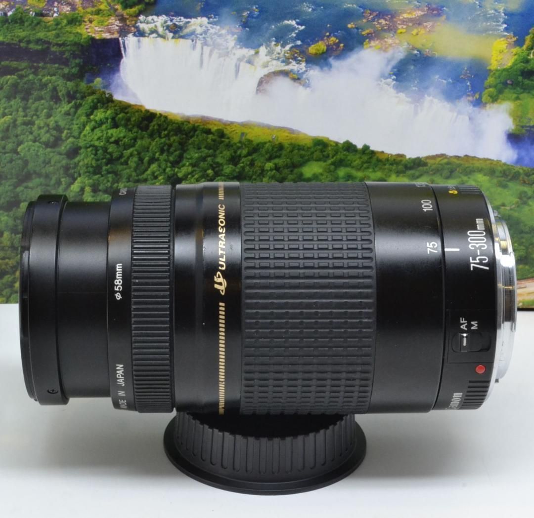 迫力の300㎜ Canon キヤノン 望遠レンズ EF75-300mm 期間限定今