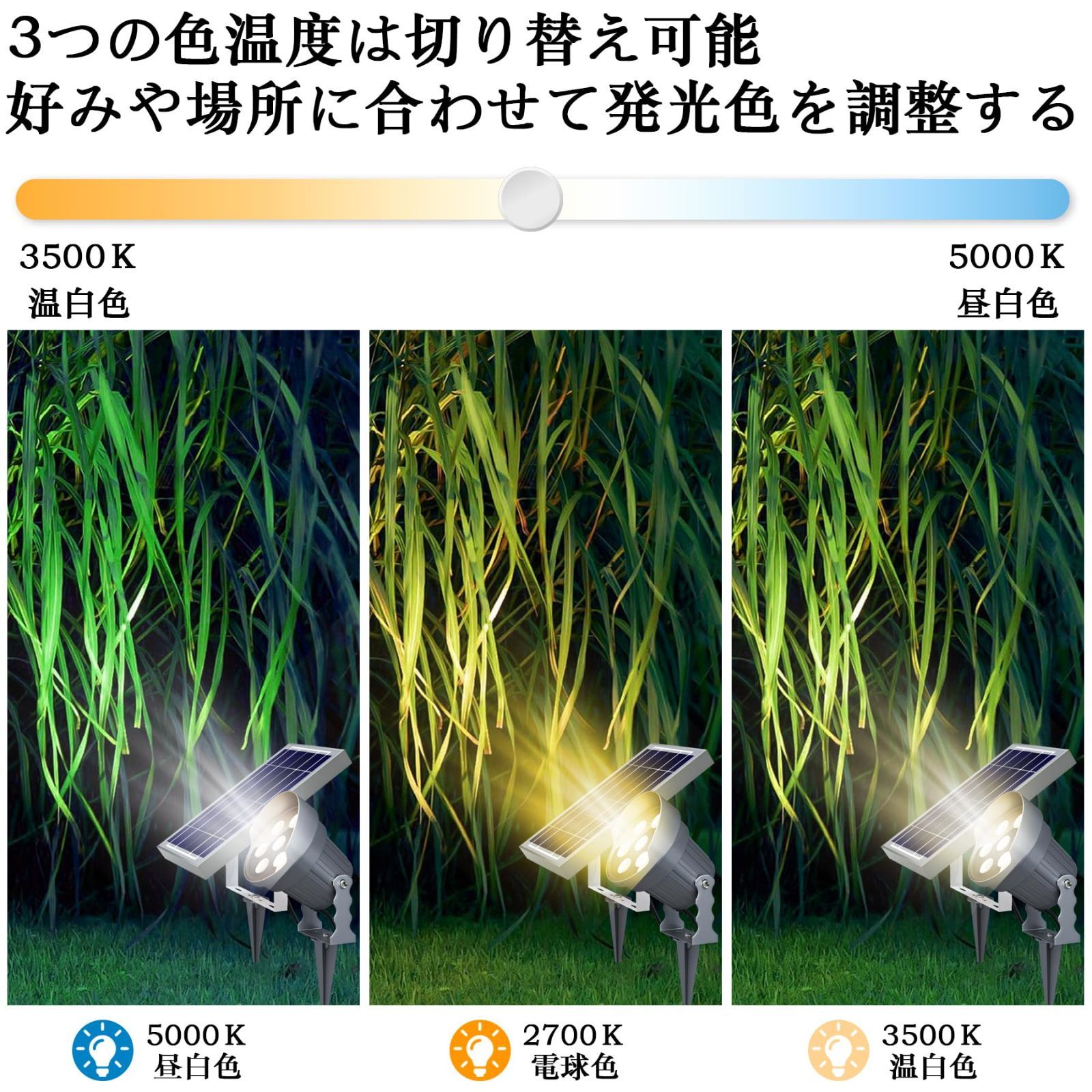 分離型 強力