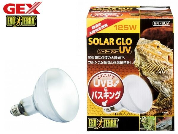 GEX ソーラーグローUV 125W PT2192 爬虫類 両生類用品 爬虫類用品 ジェックス EXO TERRA