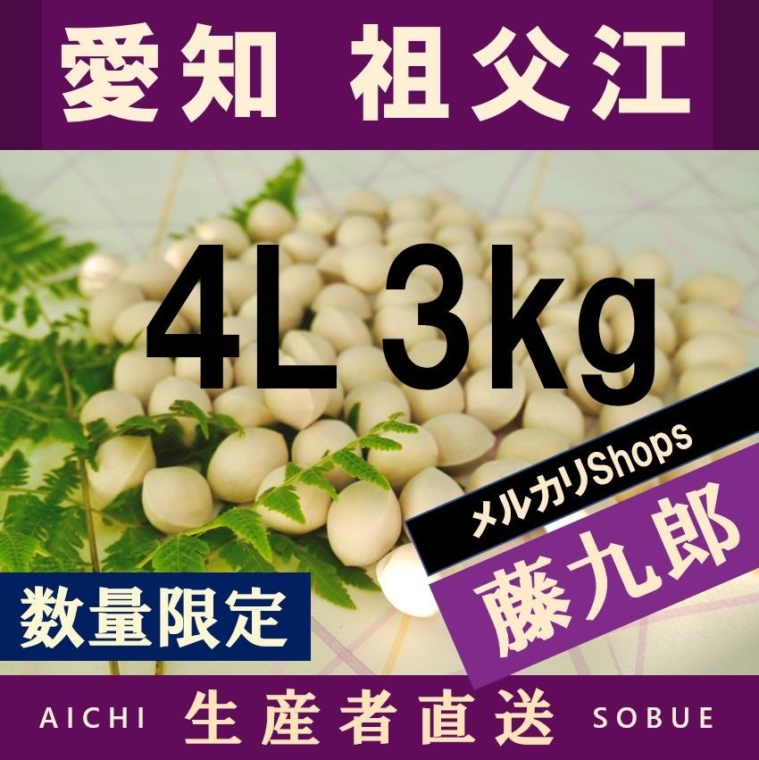 2023年新物 藤九郎 銀杏 生産者直送 祖父江産 ぎんなん 4L 3kg - メルカリ