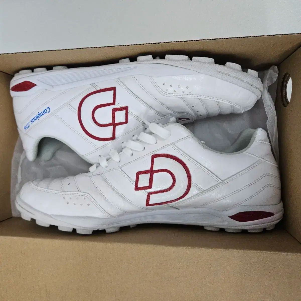 Desporte
