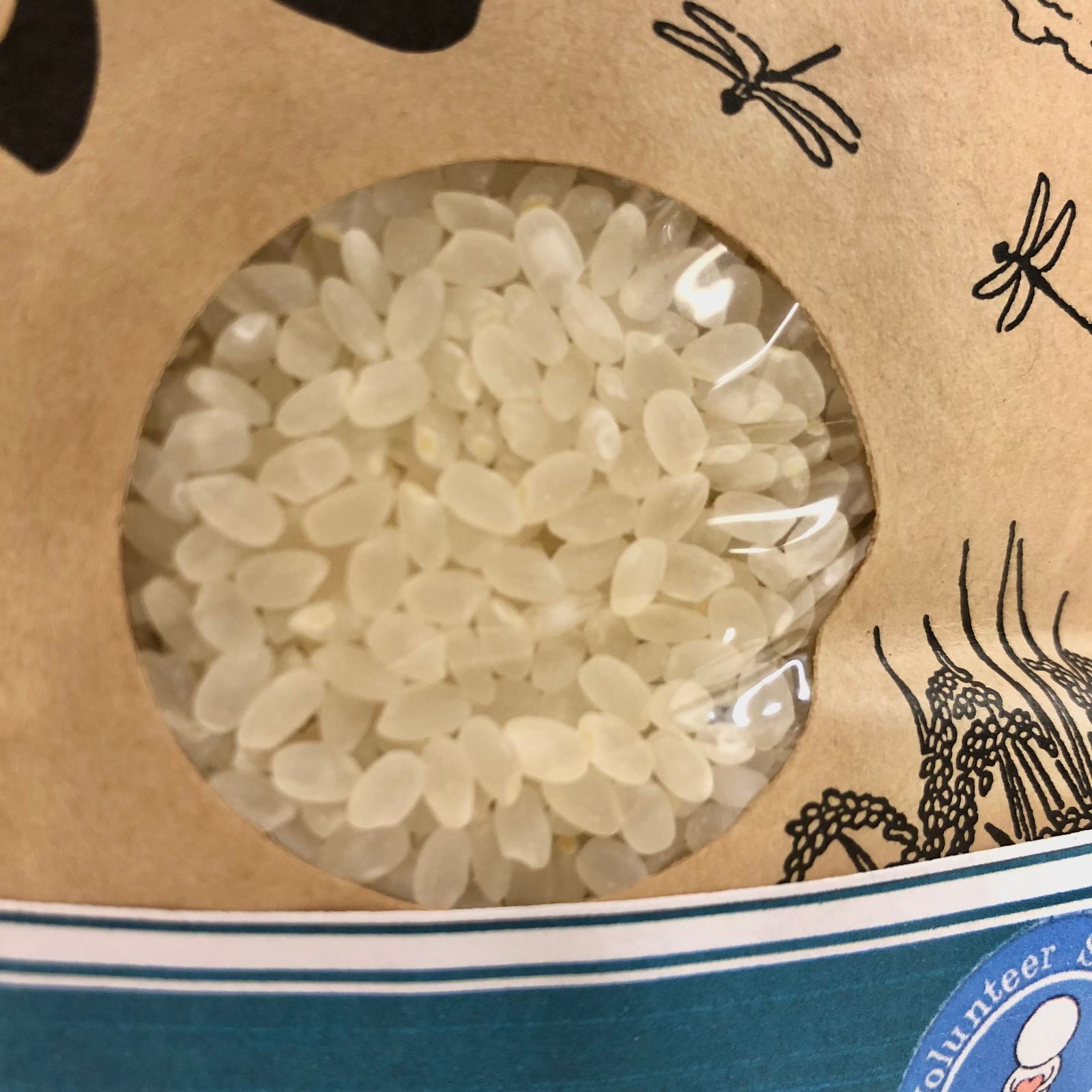 お米【令和3年産】　キヌヒカリ　30kg 　大阪府産　農家直送