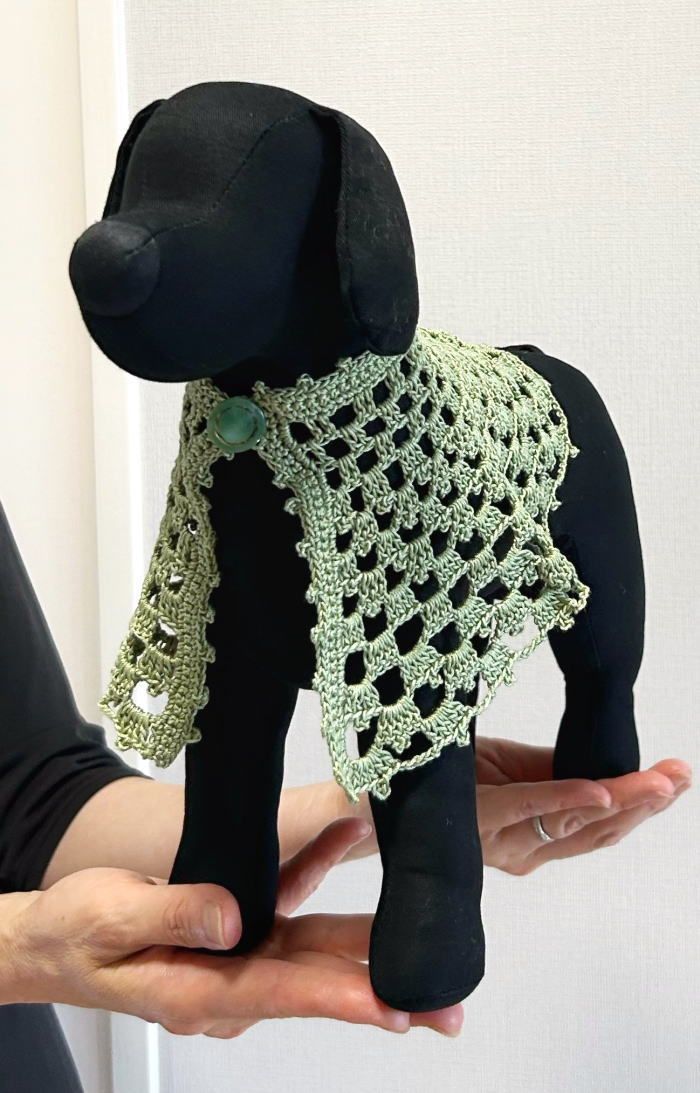 編み物キット ウォッシュコットンクロッシェで編む犬用ケープ 毛糸 夏糸 かぎ針編み 犬の服 ワンコ服 ドッグウェア