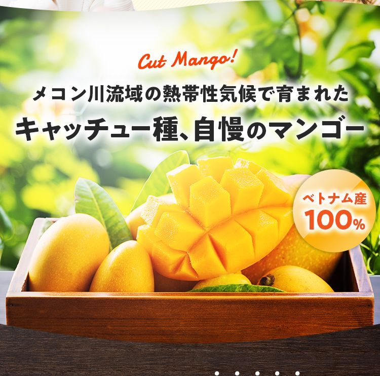 沖縄県産・冷凍マンゴー10kg【送料無料！】 冷凍フルーツ 業務用 冷凍マンゴー 送料無料 冷凍マンゴー 500g