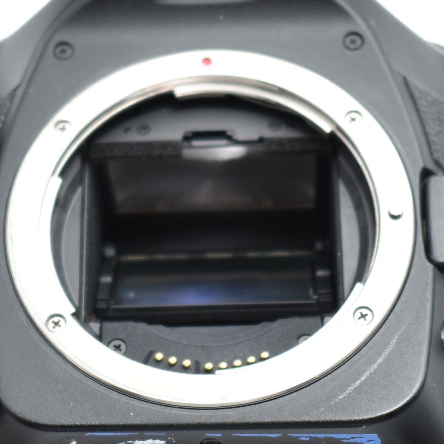 5D