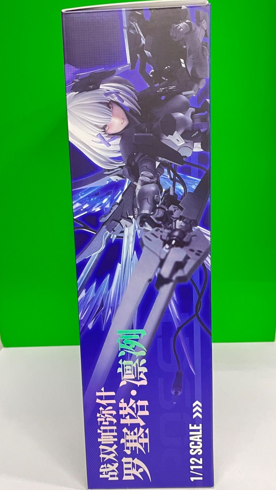 未開封】パニシング：グレイレイヴン ロゼッタ・凛烈 アクション