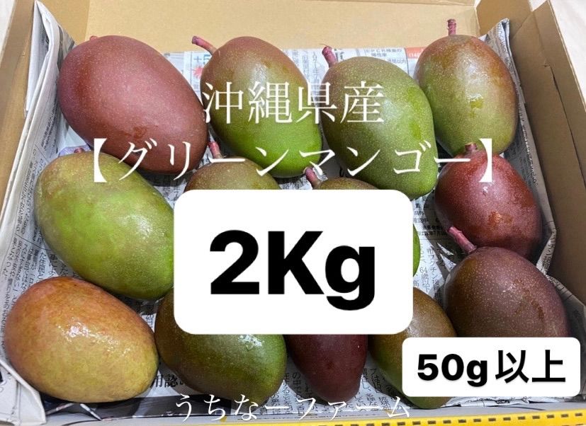 摘果マンゴー グリーンマンゴー 14.2キロ（摘果マンゴー