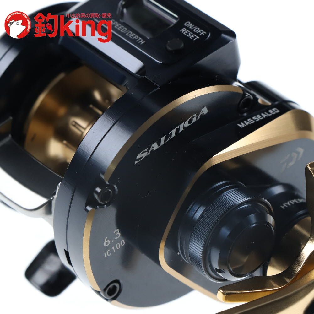  ダイワ 21 ソルティガ IC 100 X 290 M ヒラマサ カンパチ ブリ オフショア ベイトリール ロッド リール ルアー ベイトリール(ルアー用) リール