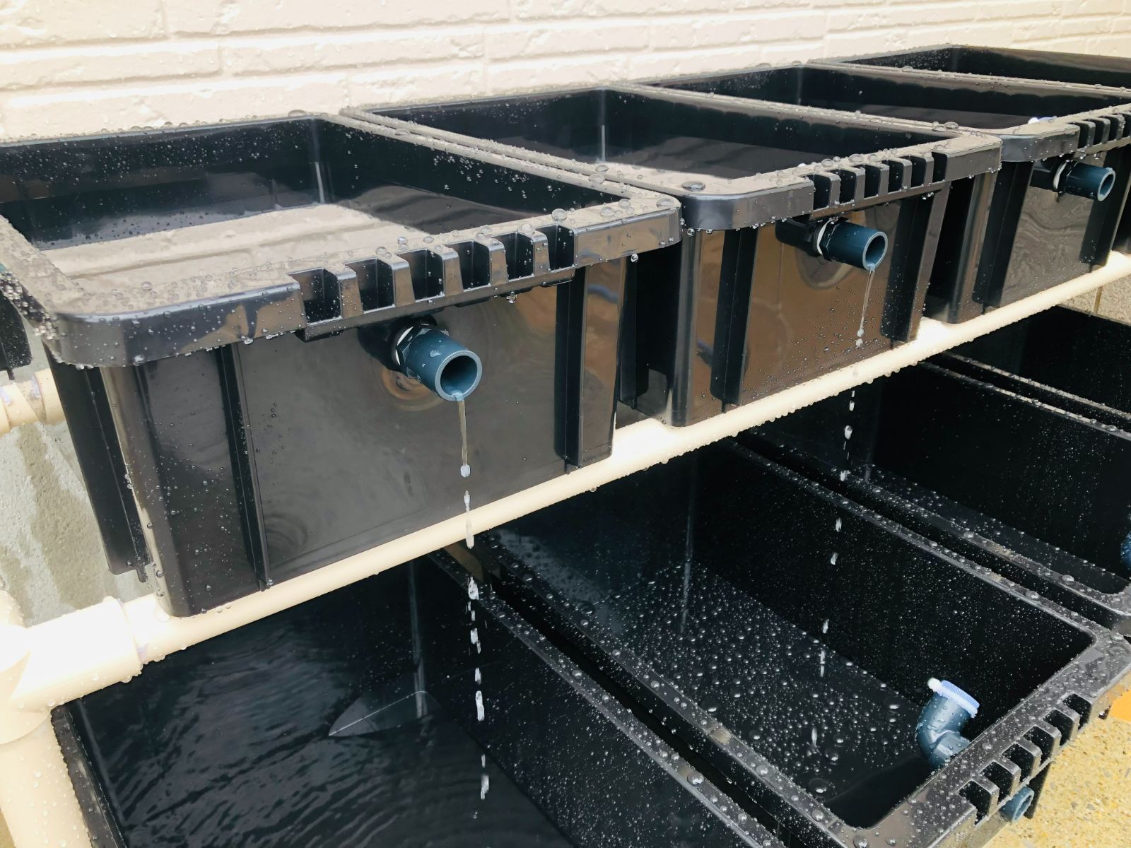 メダカ飼育ラック ブラック【接着剤付】 NVBOX13を12個置けます メダカ飼育ラック ブラック コンパクト 【接着剤付】 NVBOX13 4