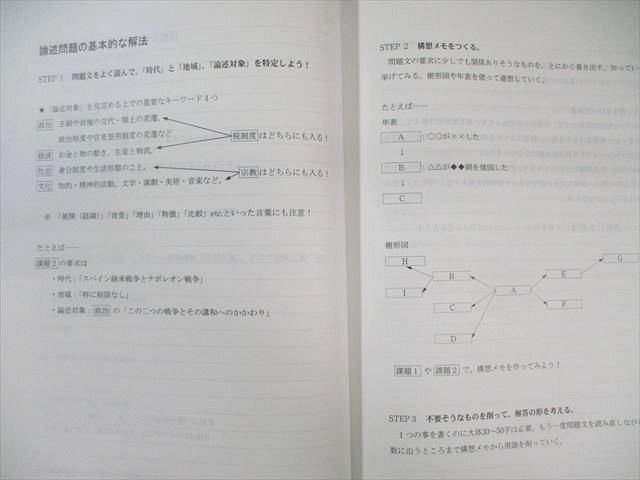 武井の論述世界史 部門別テーマ篇＋体系篇 2冊 代々木ゼミナール