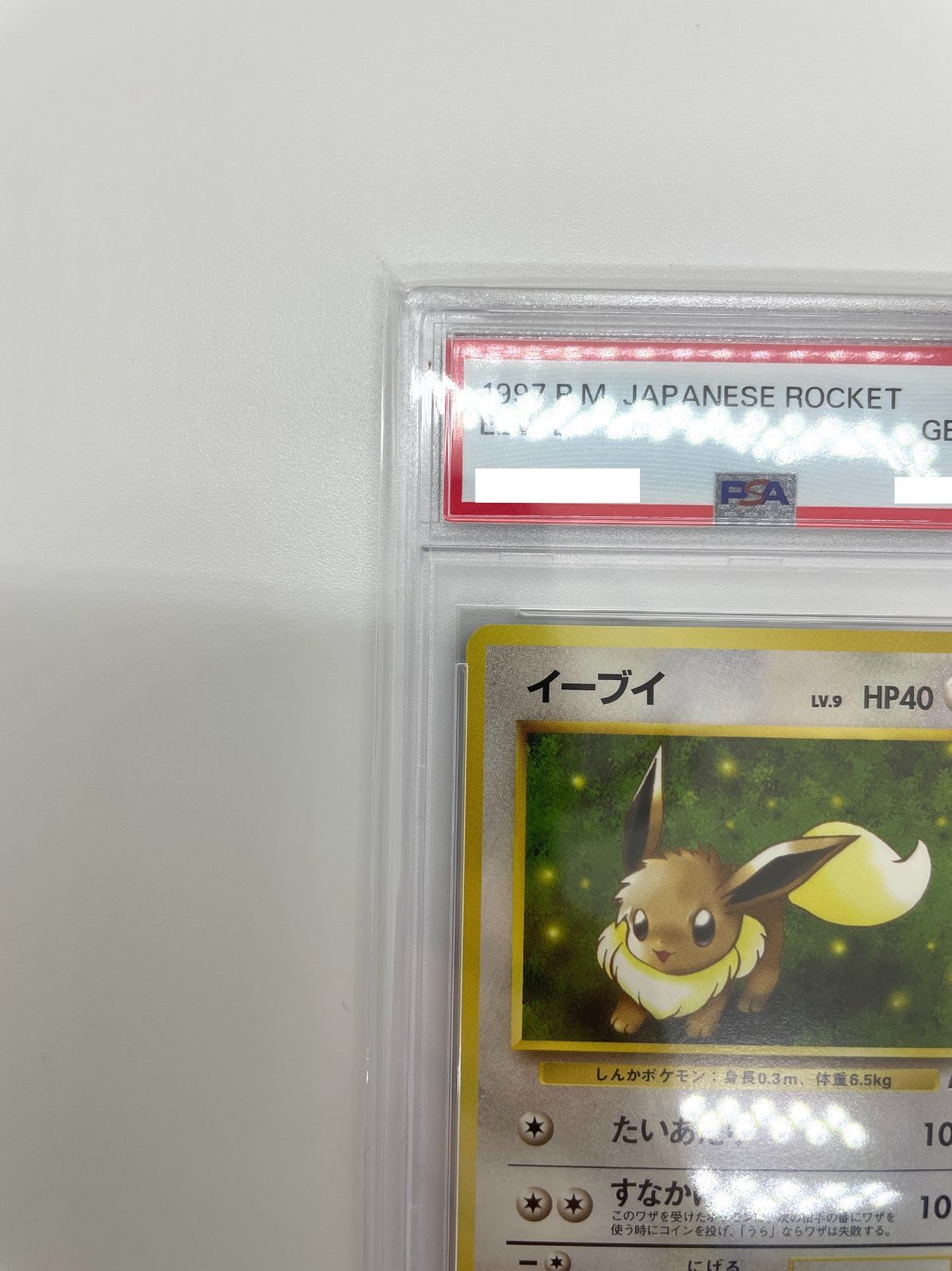 ペップ旧裏シリーズイーブイ 1997 PSA10 ポケモンカード 旧裏 旧裏面 ポケカ ロケット団