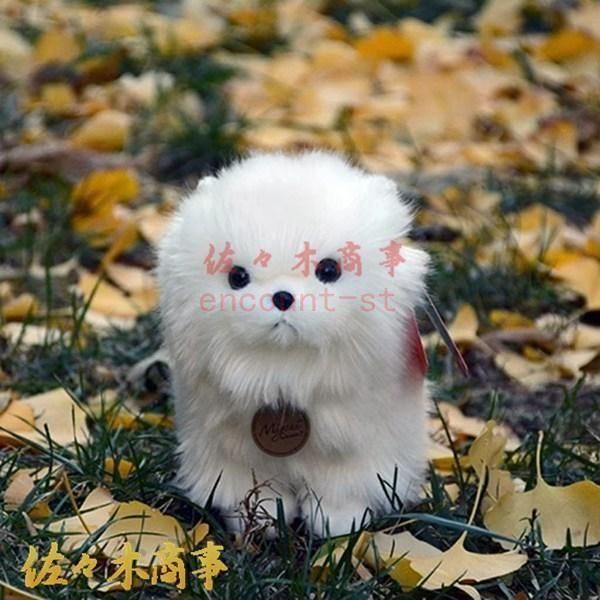 〚さや〛ポメラニアン　ぬいぐるみ♡ Amazon.co.jp: GUND Boo、世界一かわいい犬のイチゴぬいぐるみ