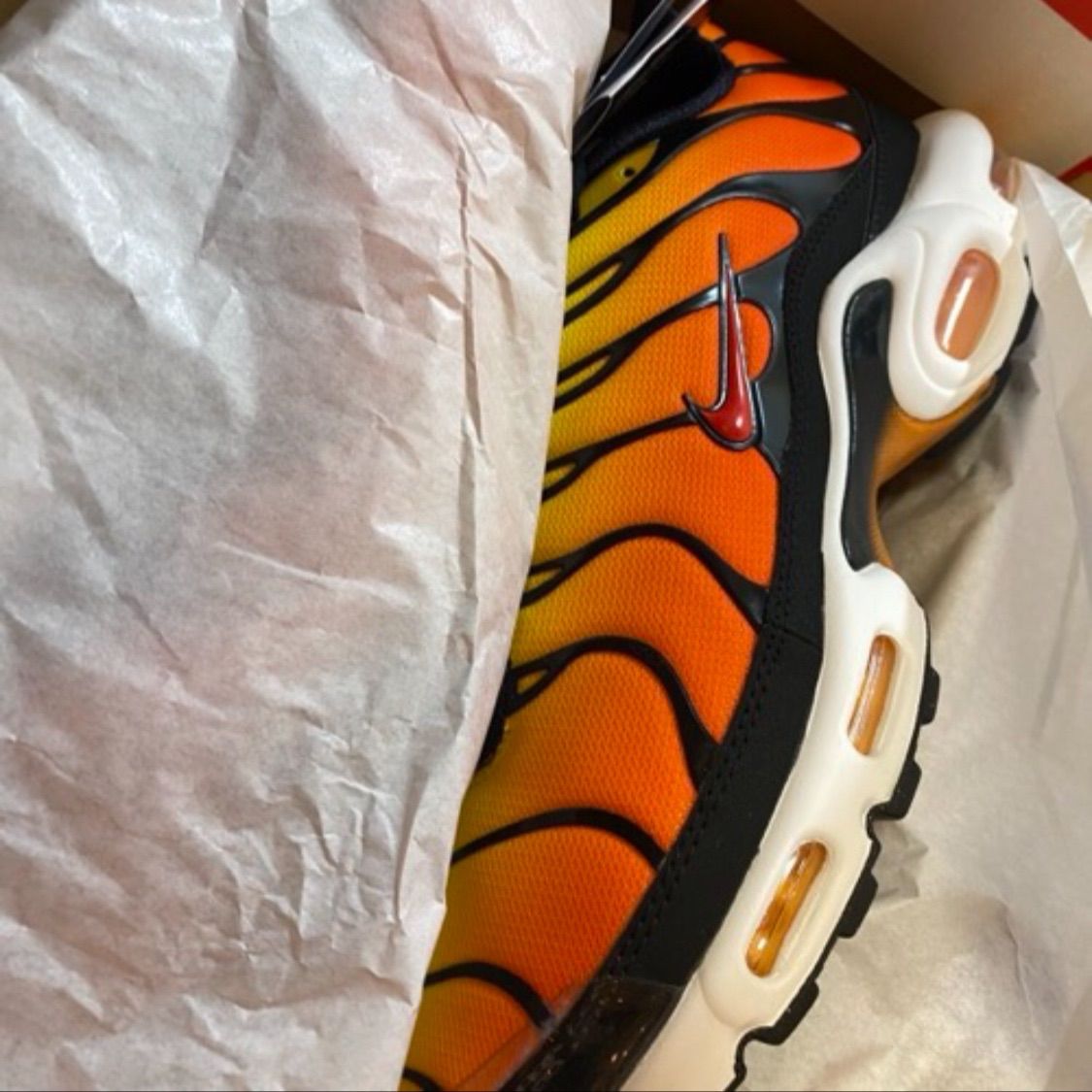 Nike Air Max Plus 