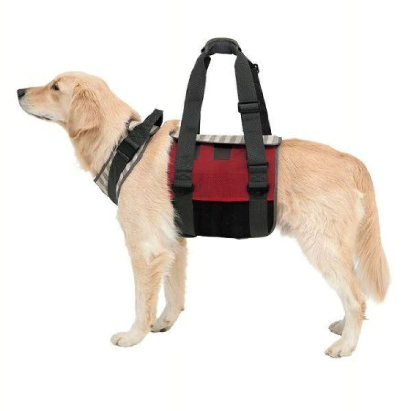 トンボ 歩行補助ハーネス LaLaWalK 大型犬用 メッシュボーダー SS