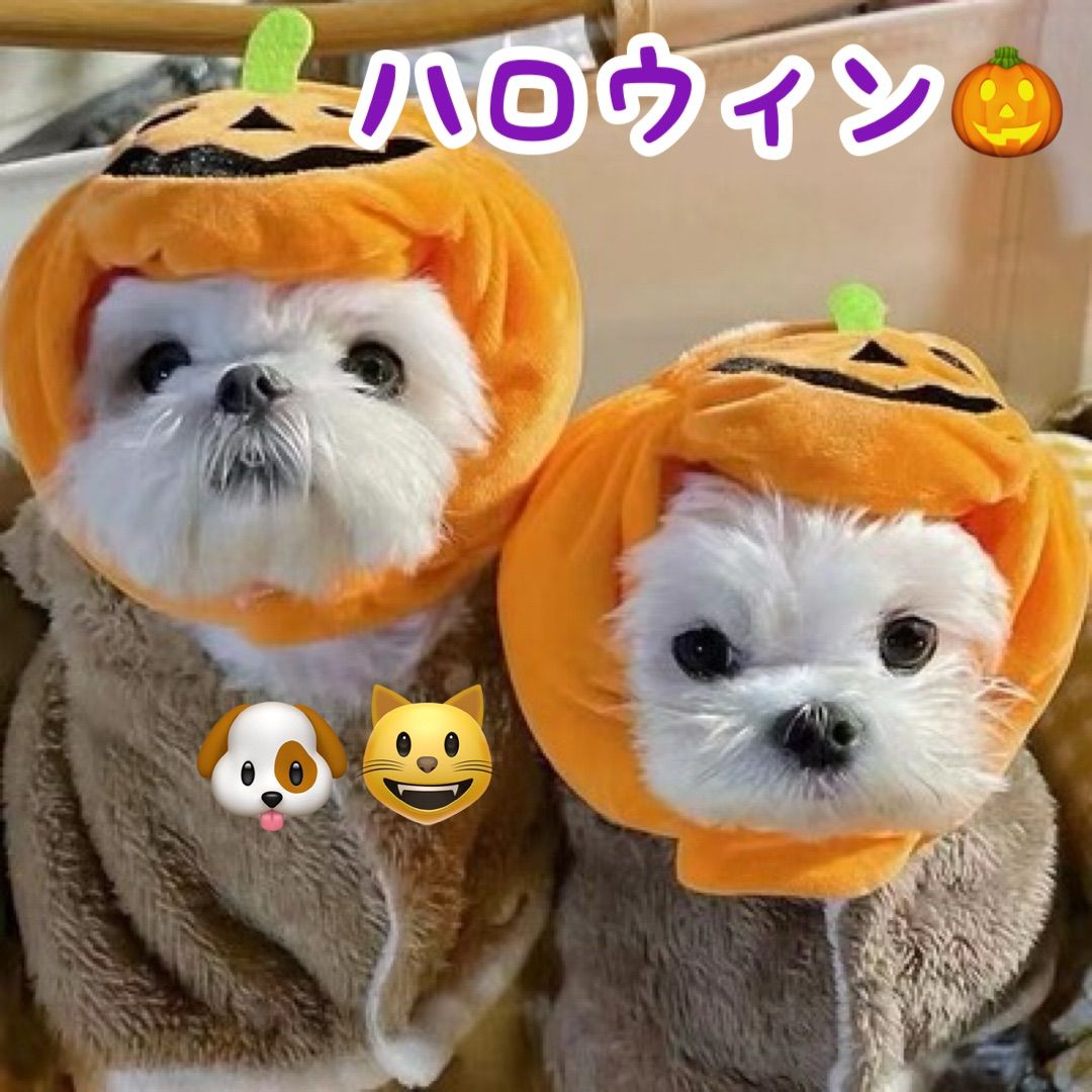 ハロウィン 仮装 かぼちゃ 帽子 犬 猫 かぶり物 ペット 服 コスプレ - メルカリ