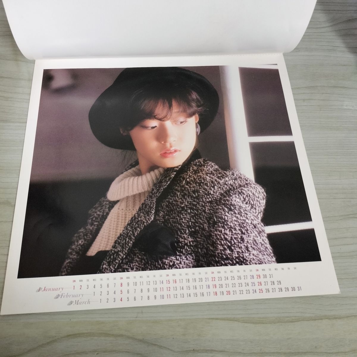 カレンダー 中森明菜 1984年 昭和59年 ワーナーパイオニア