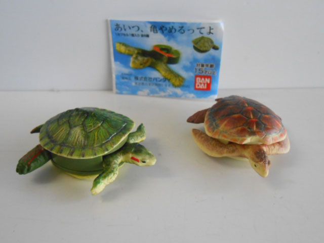 ♯Kgg30Bzあいつ、亀やめるってよ全6種ウミガメ あいつ、亀やめるってよ｜ガシャポンオフィシャルサイト