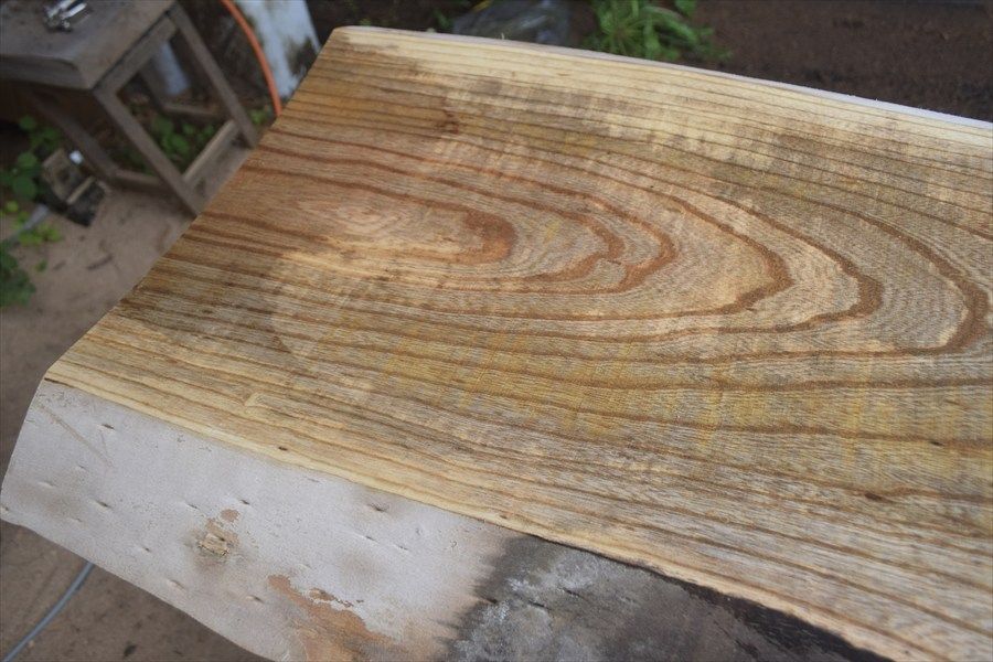 恐竜サウルス No.1〜のNo.38 恐竜サウルス No.1〜のNo.38 Amazon.co.jp