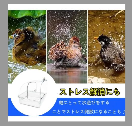 鳥用品