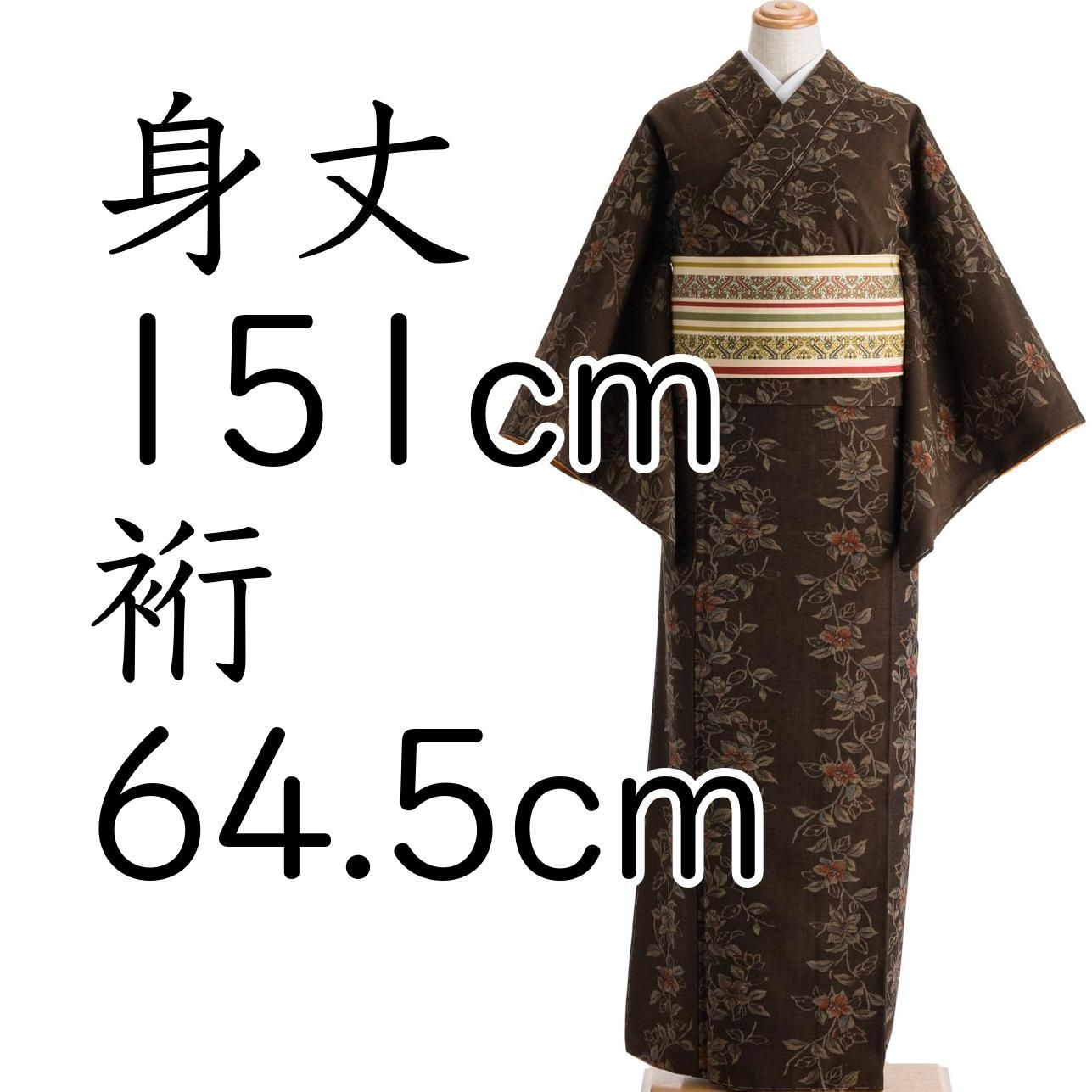 紬 花のライン 正絹 紬 全通袋帯《ライン 花》