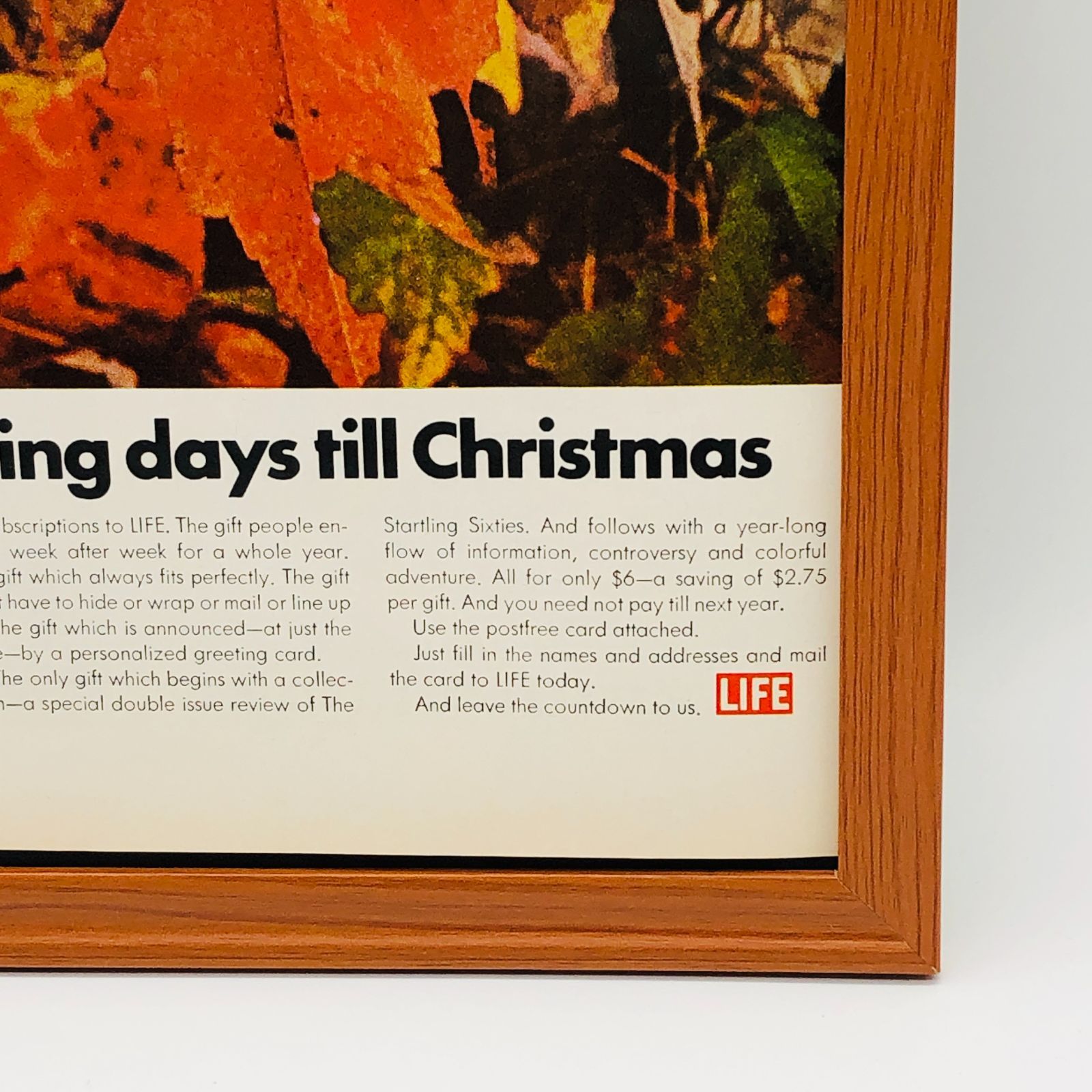 ビンテージ 広告 ポスター 『 ライフ (LIFE) 』 1960's 額付 ※当時物