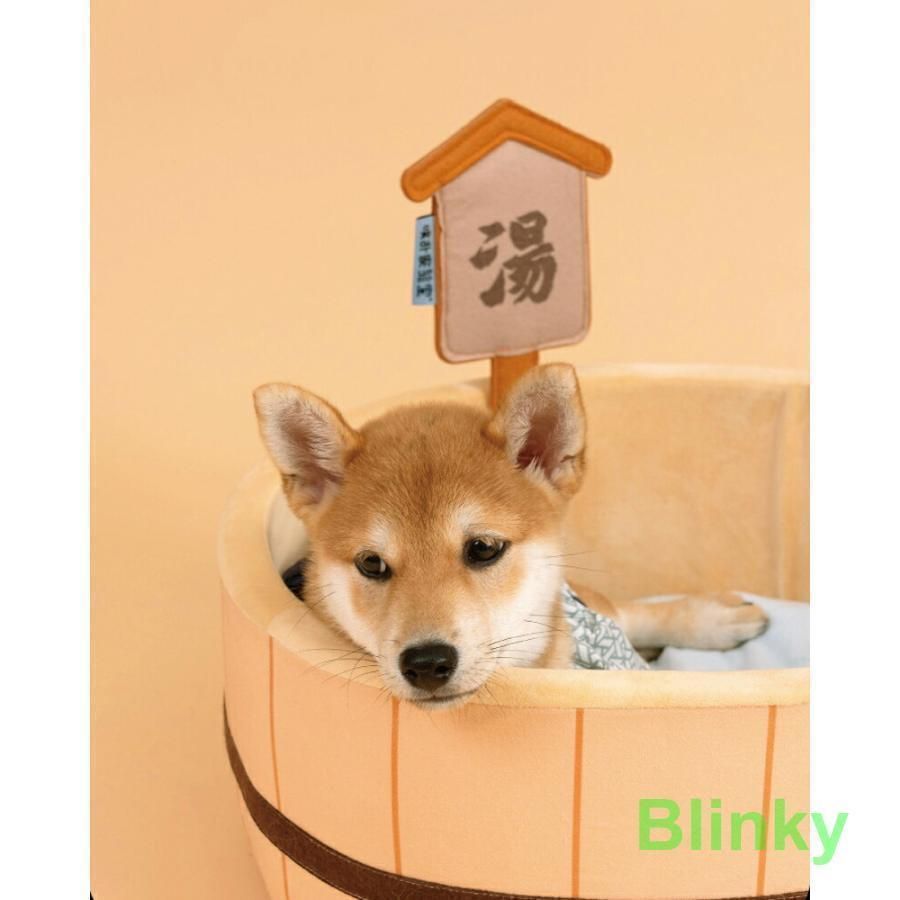 おしゃれ