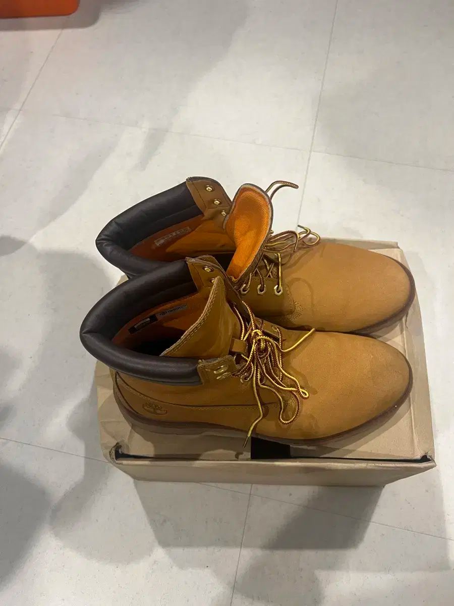 Timberland ティンバーランド 6 インチ ウォーカーブーツ ブーツ TB1A27T2311