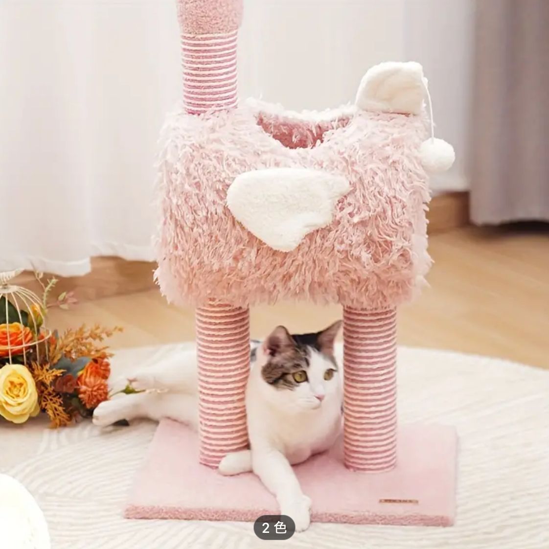 中型猫