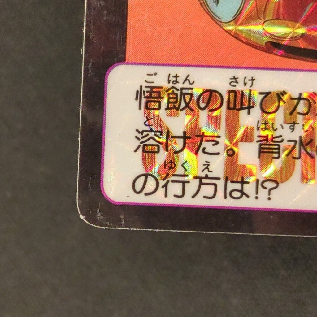 17号 ファミリー