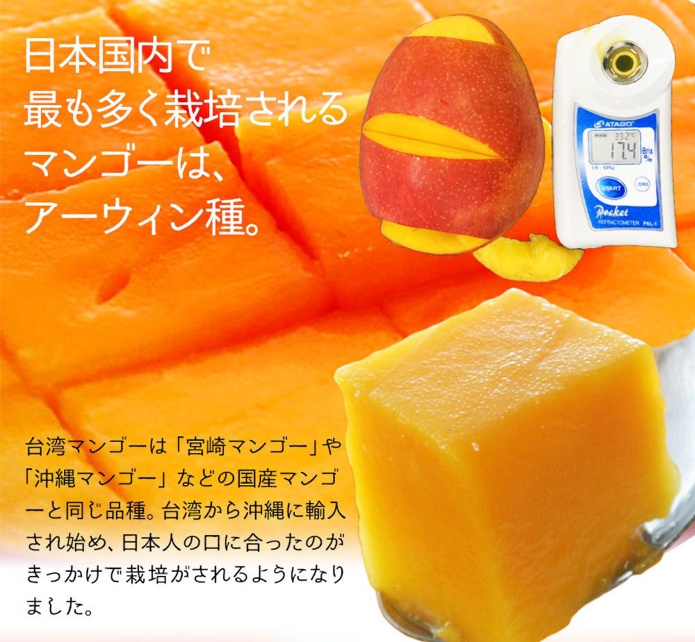完熟台湾マンゴー 約2.5kg