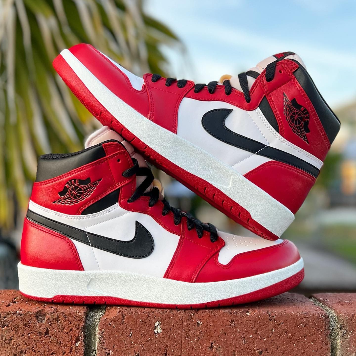 AIR JORDAN 1 HIGH THE RETURN CHICAGO シカゴ付属品箱黒タグシューキーパー