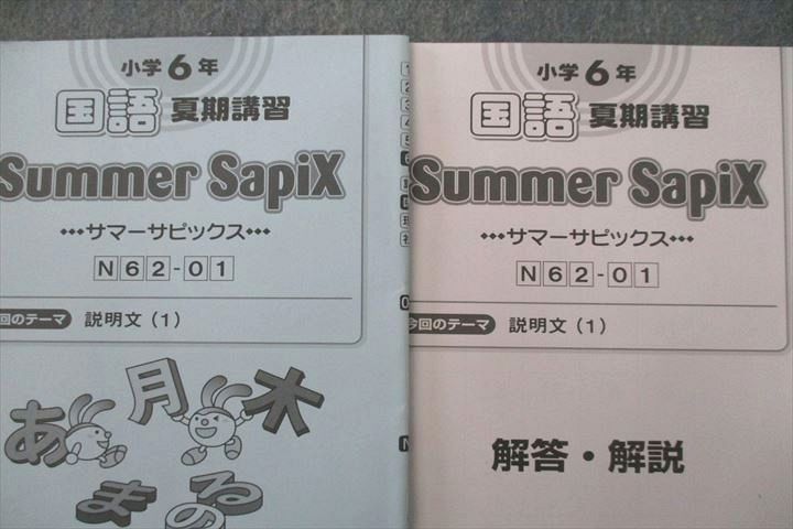小6国語夏期講習 N62-01～18