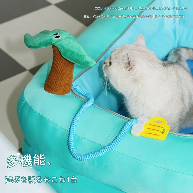 小型猫