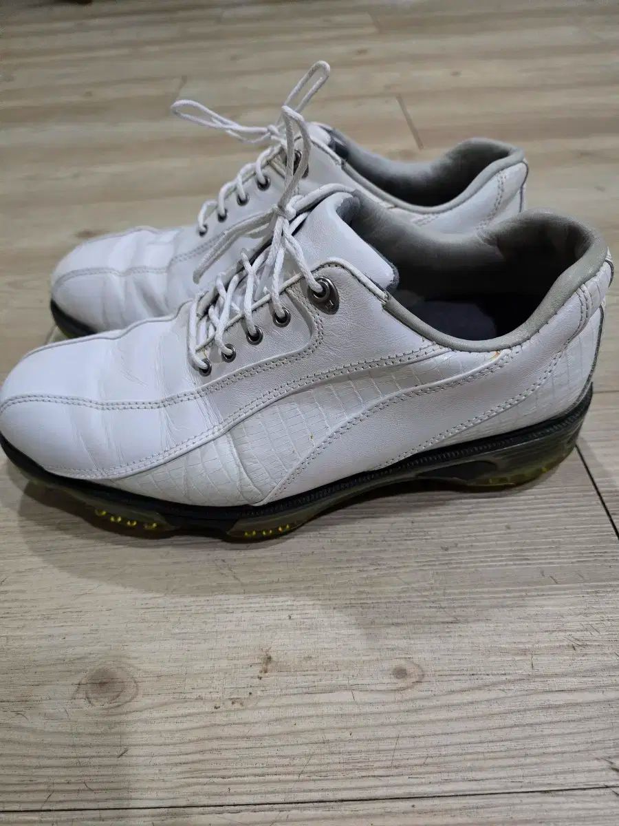 FootJoy(フットジョイ) ゴルフ ゴルフシューズ 250xw 260mm