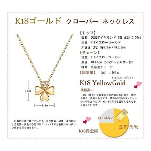 FANCIME 18K イエローゴールド ネックレス レディース ダブルループ