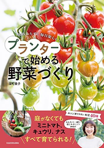 失敗しらず! 毎日楽しい! プランターで始める野菜づくり／深町 貴子