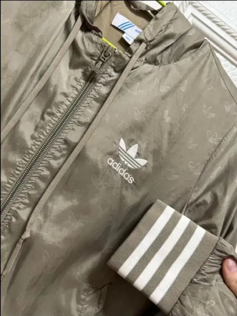 ウィンドブレーカー