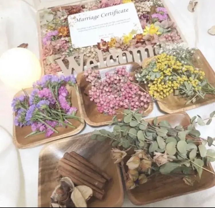 櫻坂46 大園玲 直筆サイン 秘蔵生写真 何歳の頃に戻りたいのか 大園玲