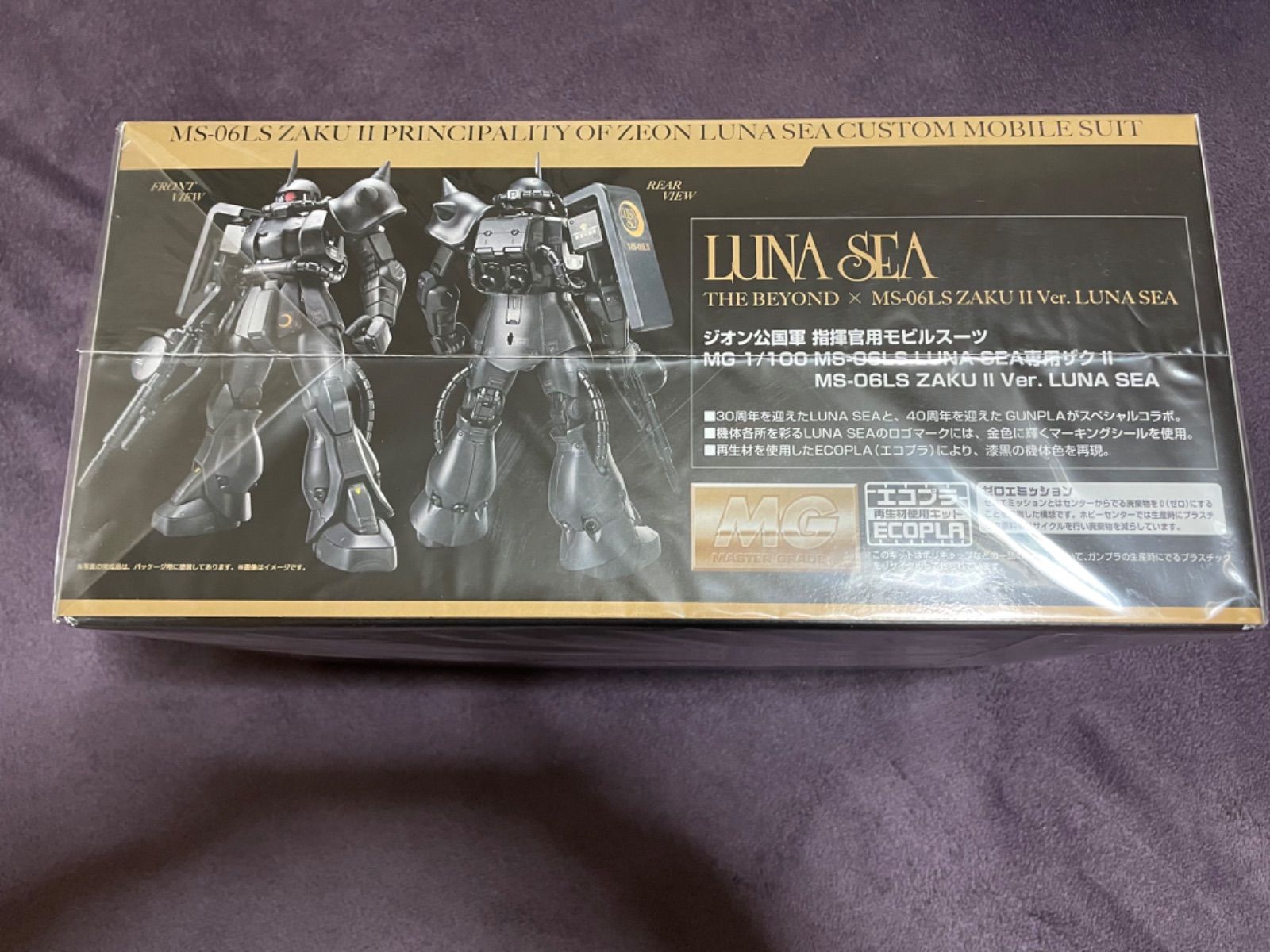 LUNA SEA THE BEYOND 専用ザクII オリジナルガンプラ LUNA SEA / THE BEYOND】MG 1/100 LUNA SEA CUSTOM ZAKU II