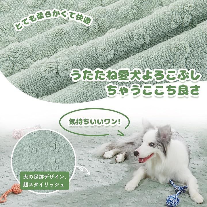 消臭 介護