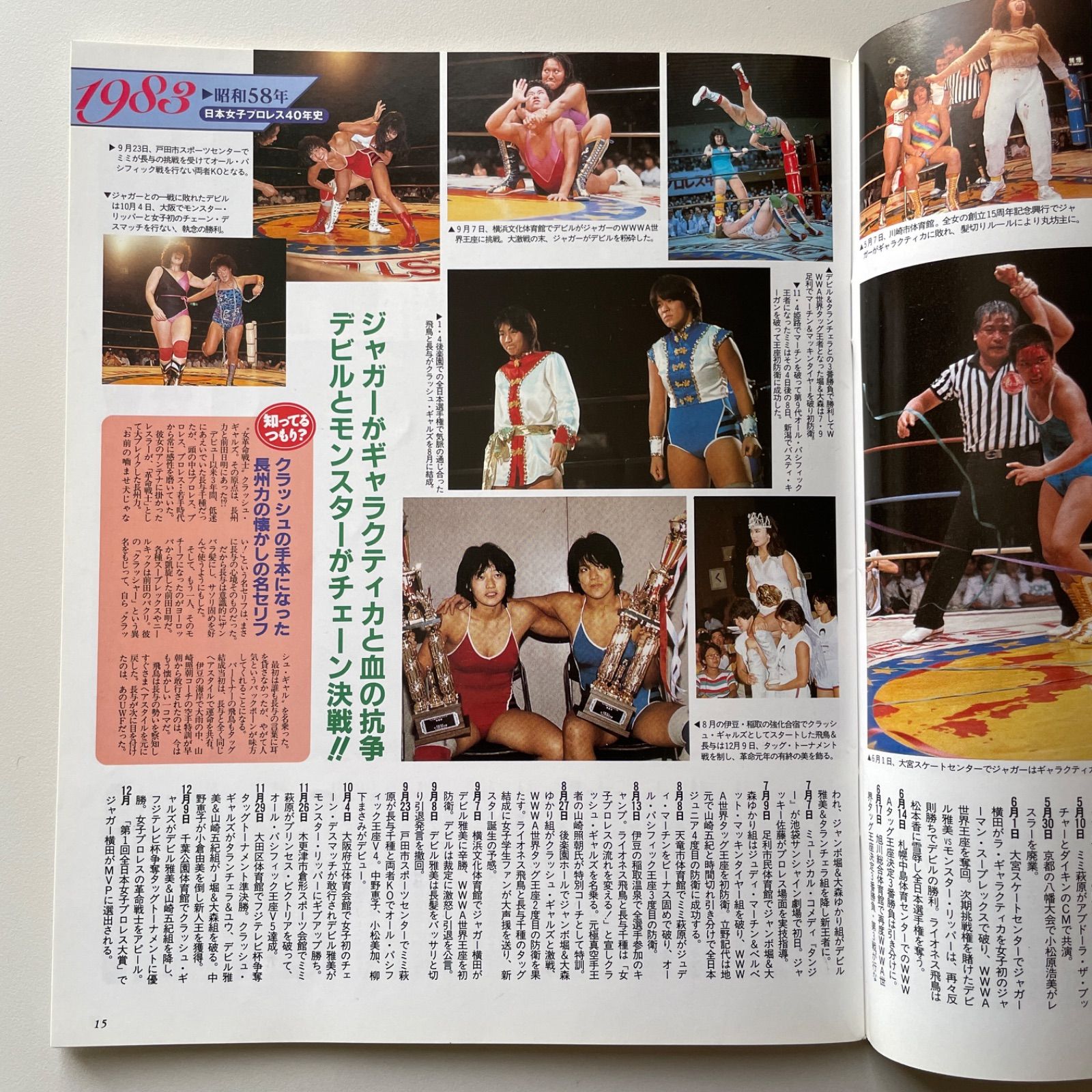 レディースゴングスペシャル 日本女子プロレス40年史 - メルカリ