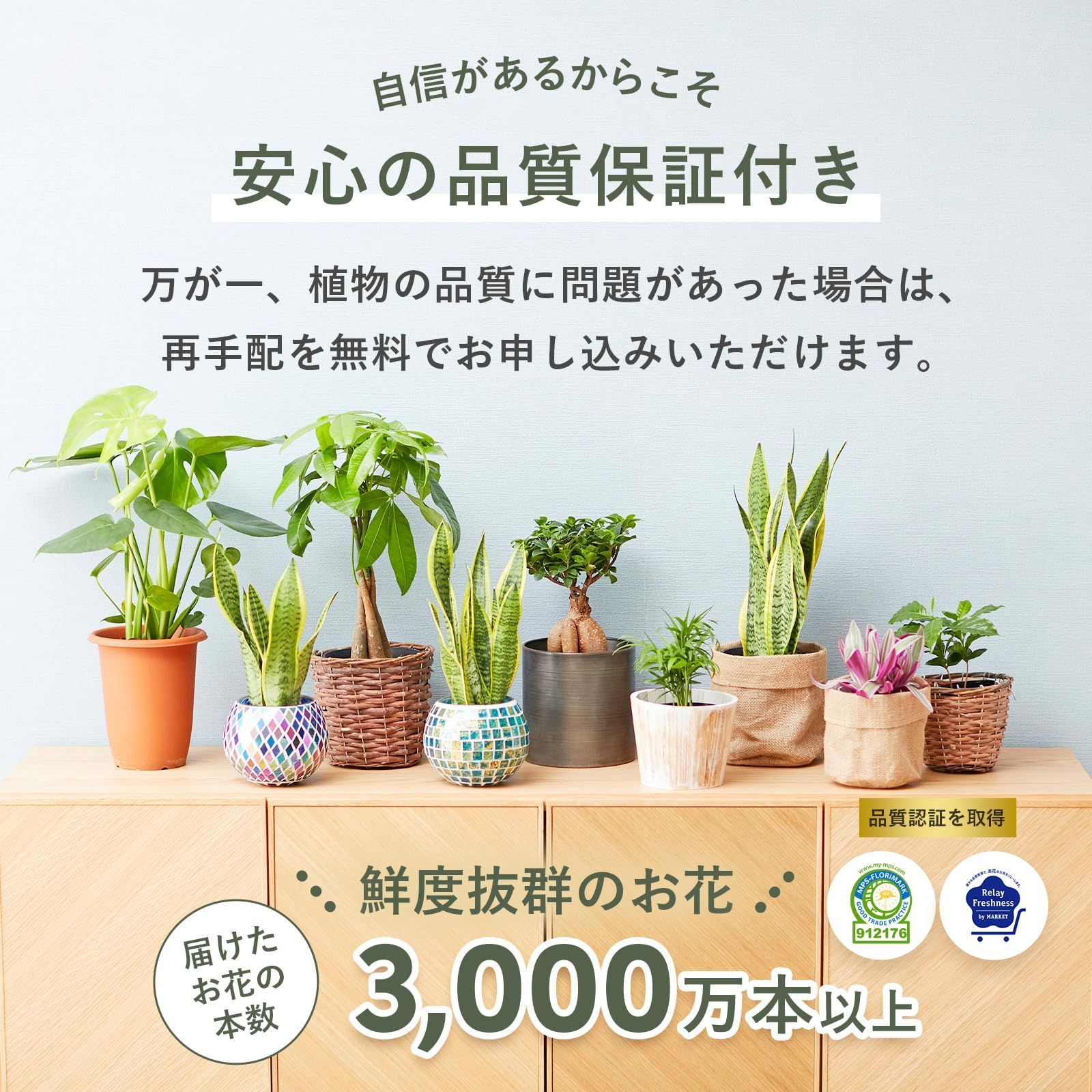 インテリア 風水
