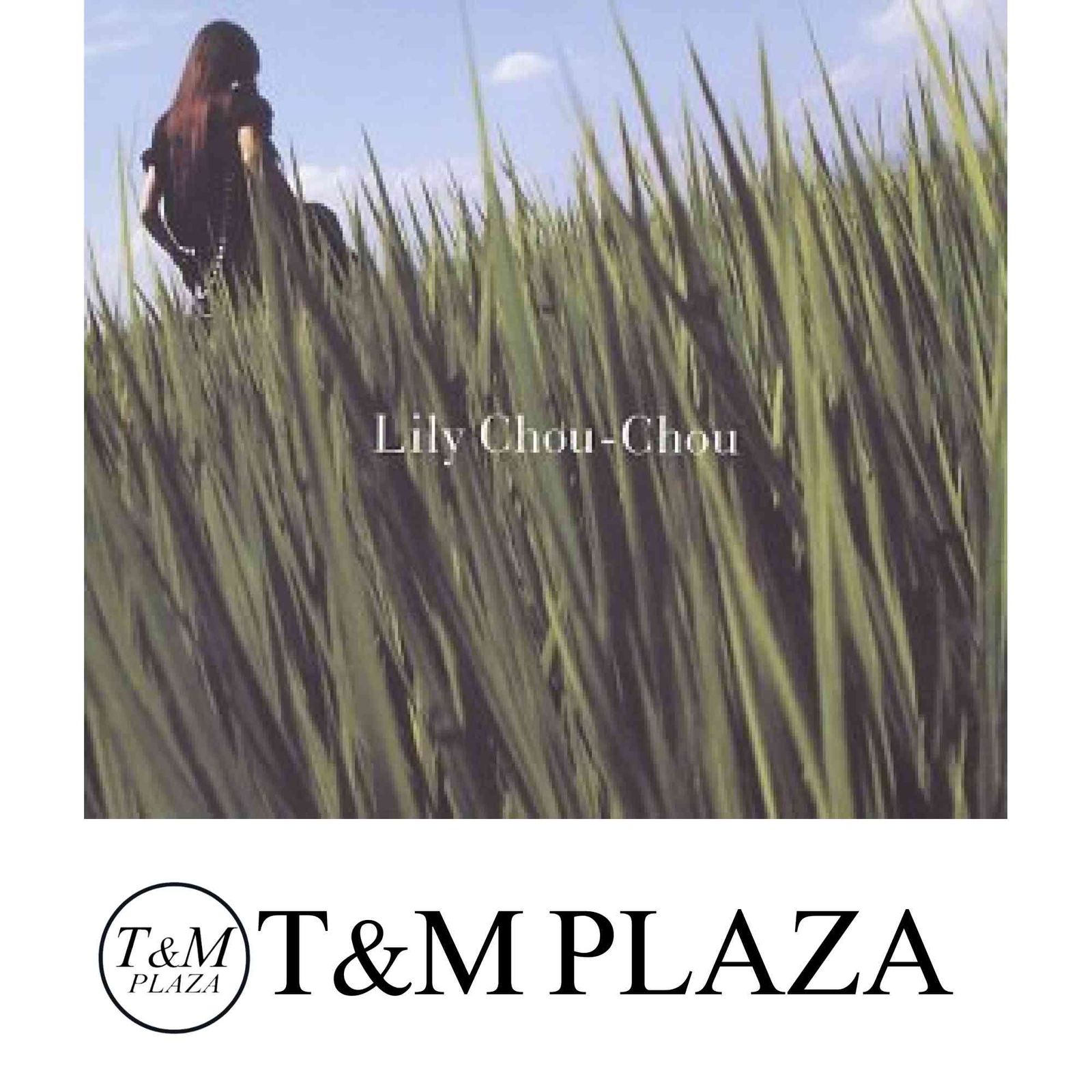 呼吸 - Lily Chou-Chou [CD] Lily Chou-Chou? Shunji Iwai