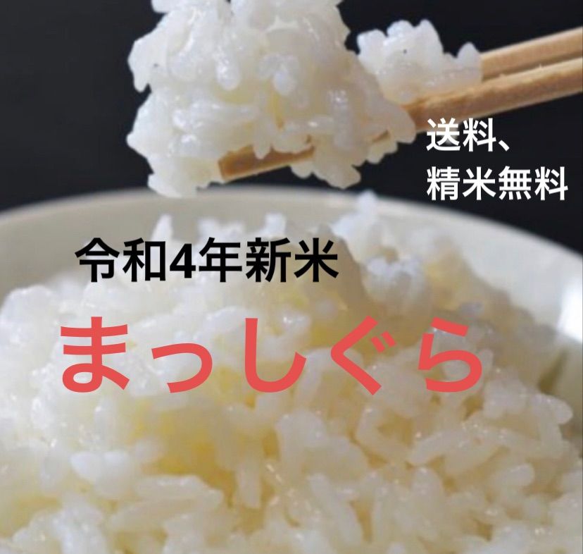 ☆ 令和5年 青森県産 まっしぐら 玄米〈30kg〉 - 米・雑穀・粉類