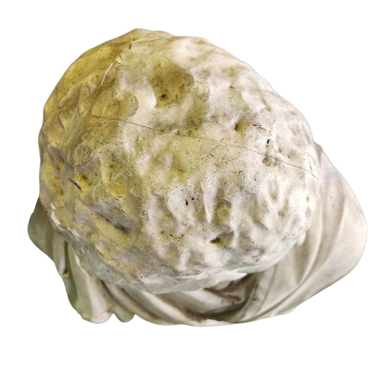 ブルータス石膏胸像 。デッサン。美術。教材 ブルータス 石膏像 胸像 デッサン 美術 美大 オブジェ