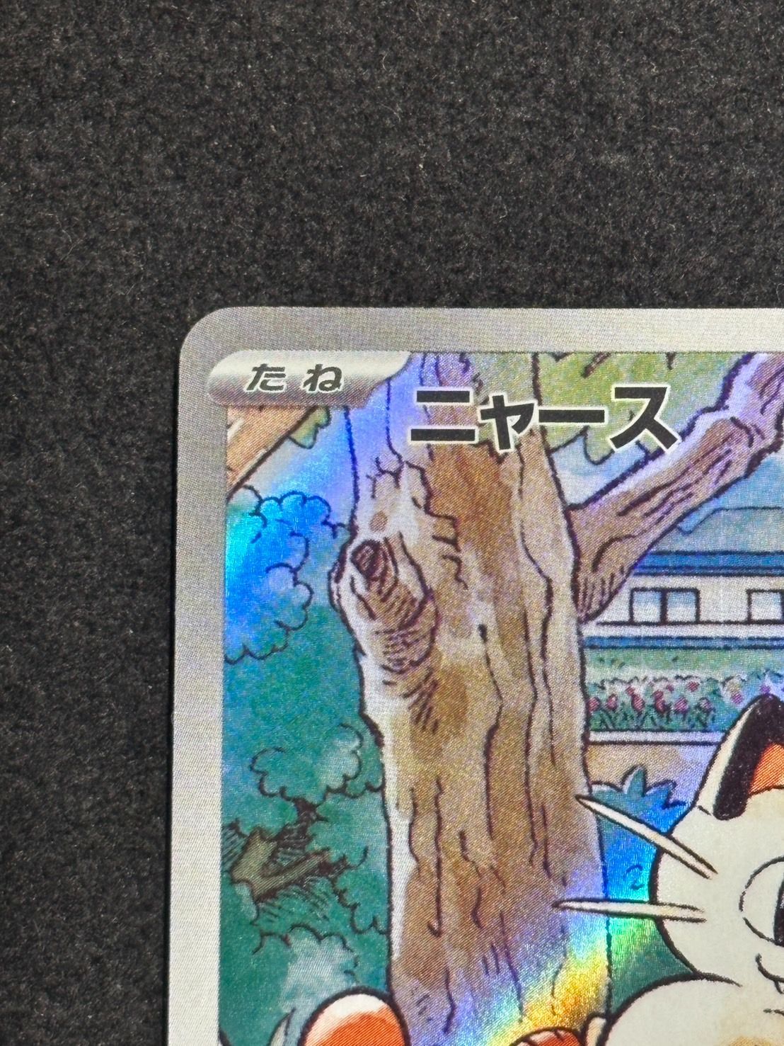 ニャース　プロモ スタートデッキGenerations スペシャルバトルセット」のプロモ