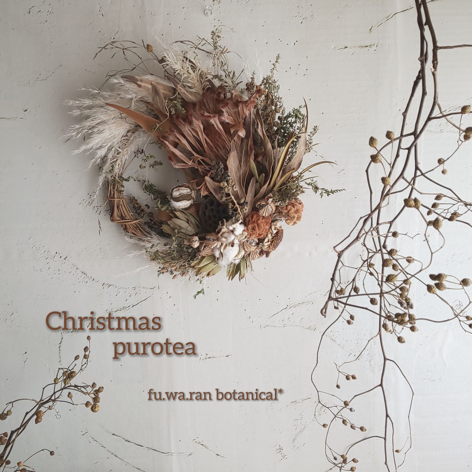 専用Christmas＊コットン＆リューカデンドロン ドライフラワータペストリー