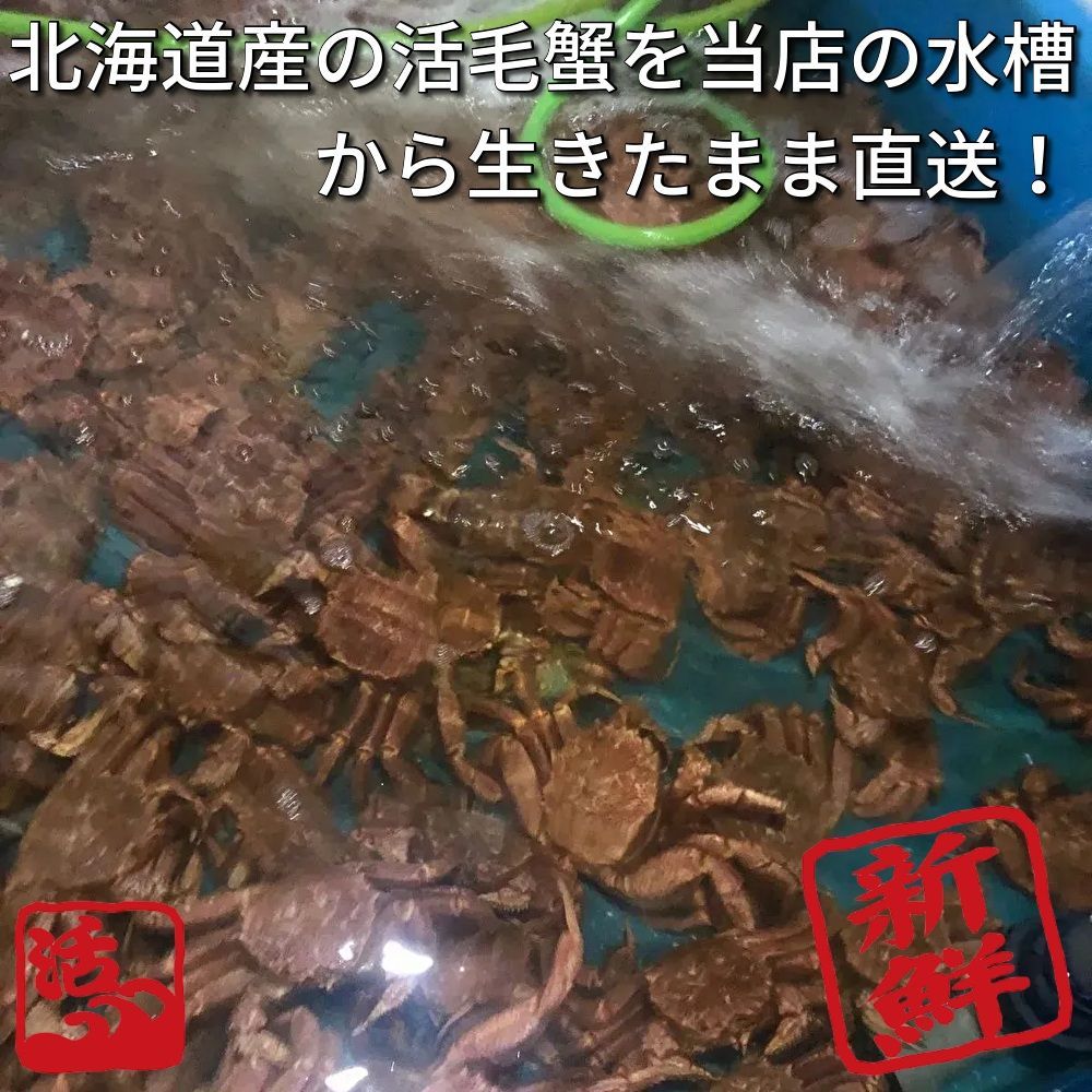 北海道産】 訳アリ活毛蟹 (6～8尾・約2kg)◇毛ガニ 毛がに けがに