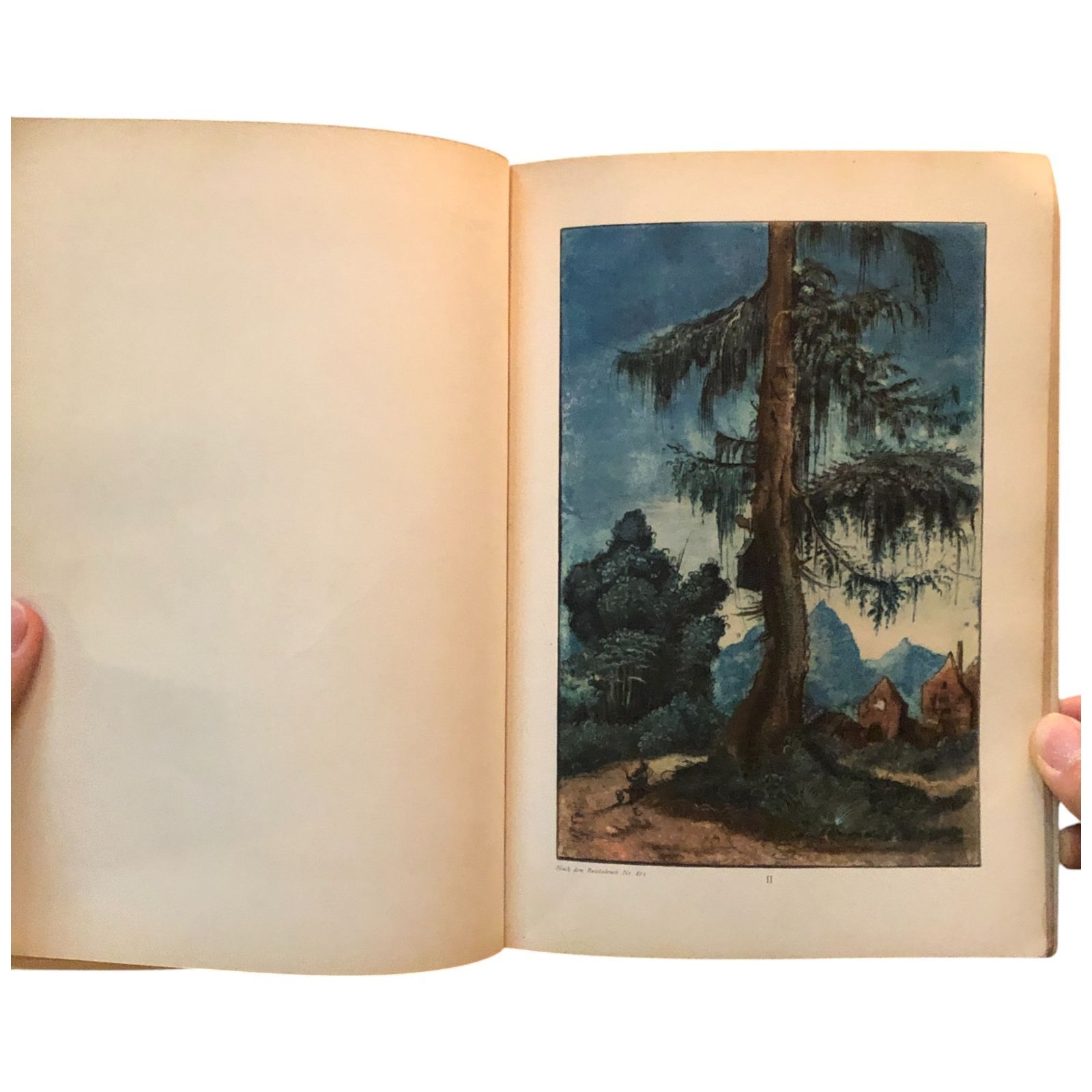 アルトドルファーとドイツ幻想絵画　1985年　アメリカ　古書　洋書　アートブック Sold Out】アルトドルファーとドイツ幻想絵画 | アトリエウチノ